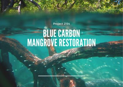 Blue Carbon Mangrove Restoration