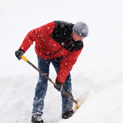 Protect People & Property from Snow Damage