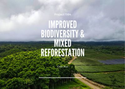 Improved Biodiversity & Mixed Reforestation