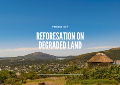 Reforestation on Degraded Land